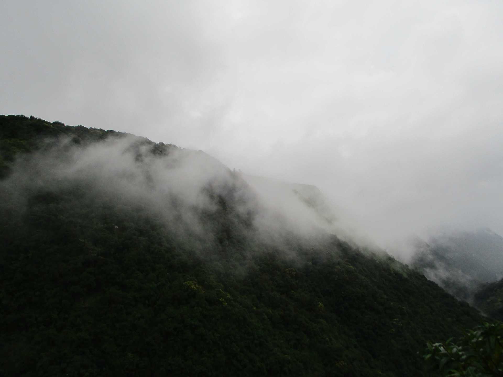 Meghalaya.... a misty mystery in North East India. image