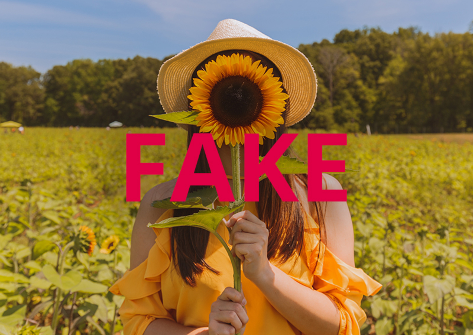 4 Ways to Spot Fake Influencers in 2018 image