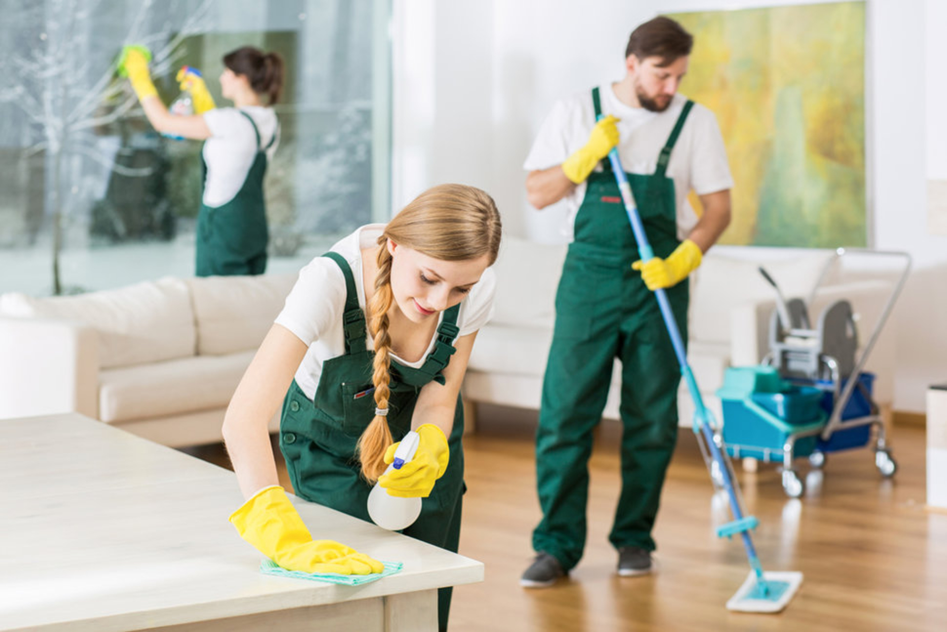 Jess Williams - Cleaning-Services